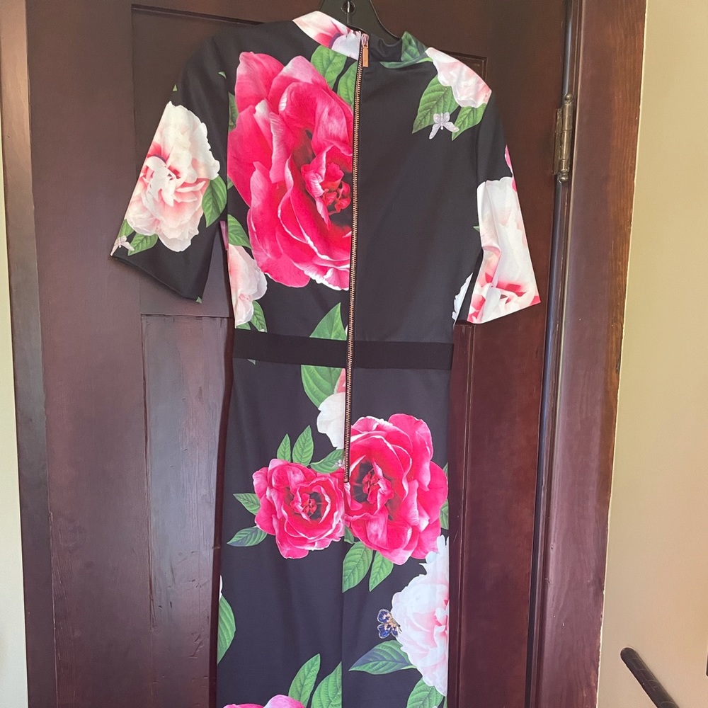Ted Baker Gilanno Magnificent Dress  6 US - Picture 2 of 6